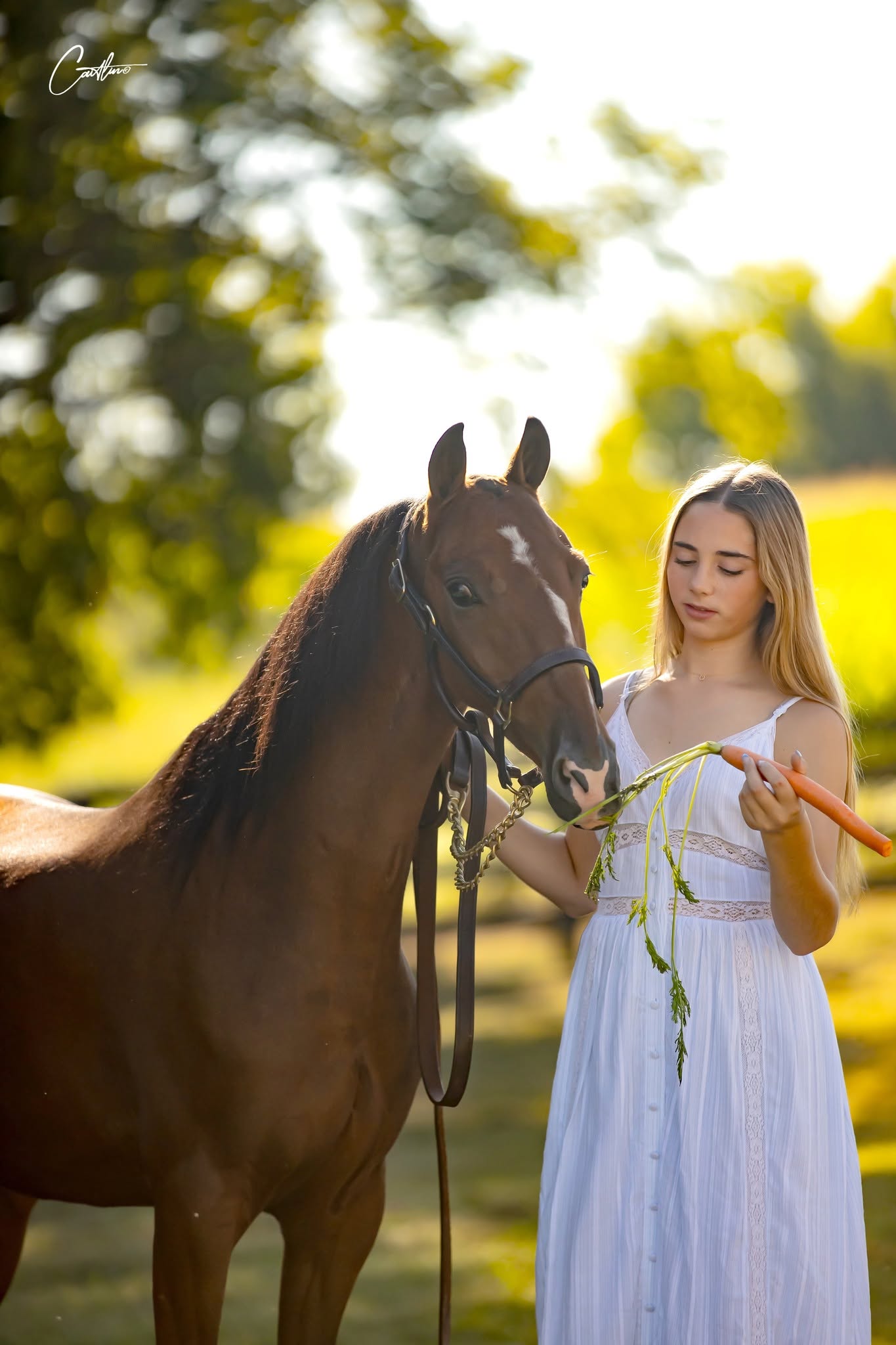 Young woman offering a carrot to her horse