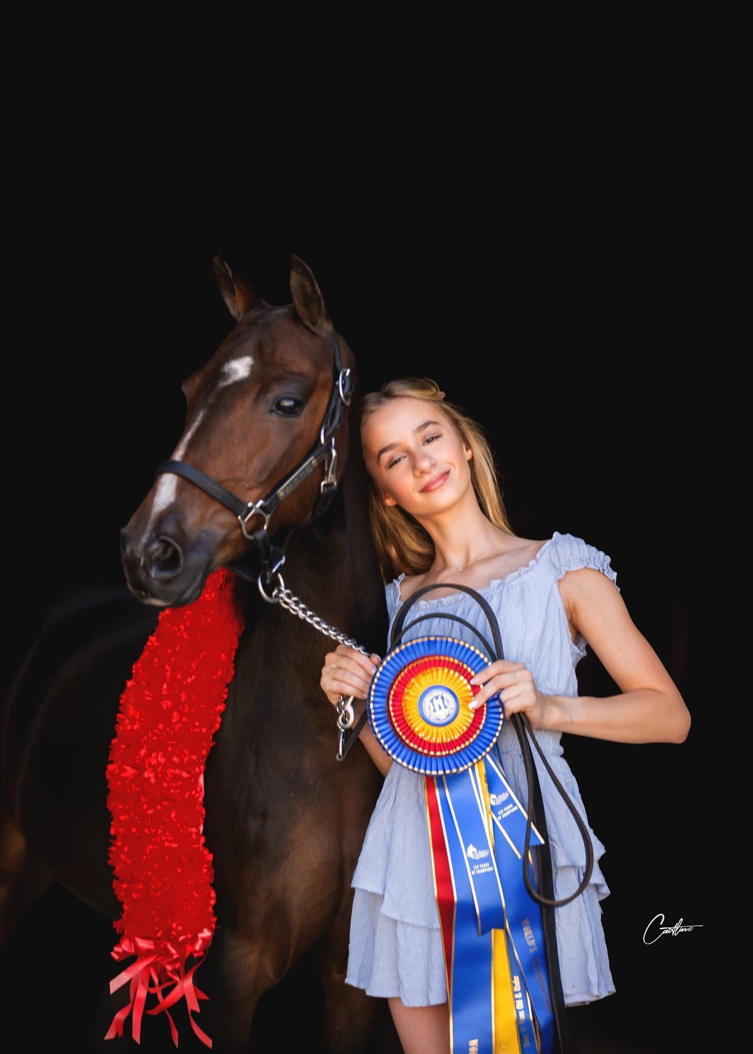 Champion horse and exhibitor against black