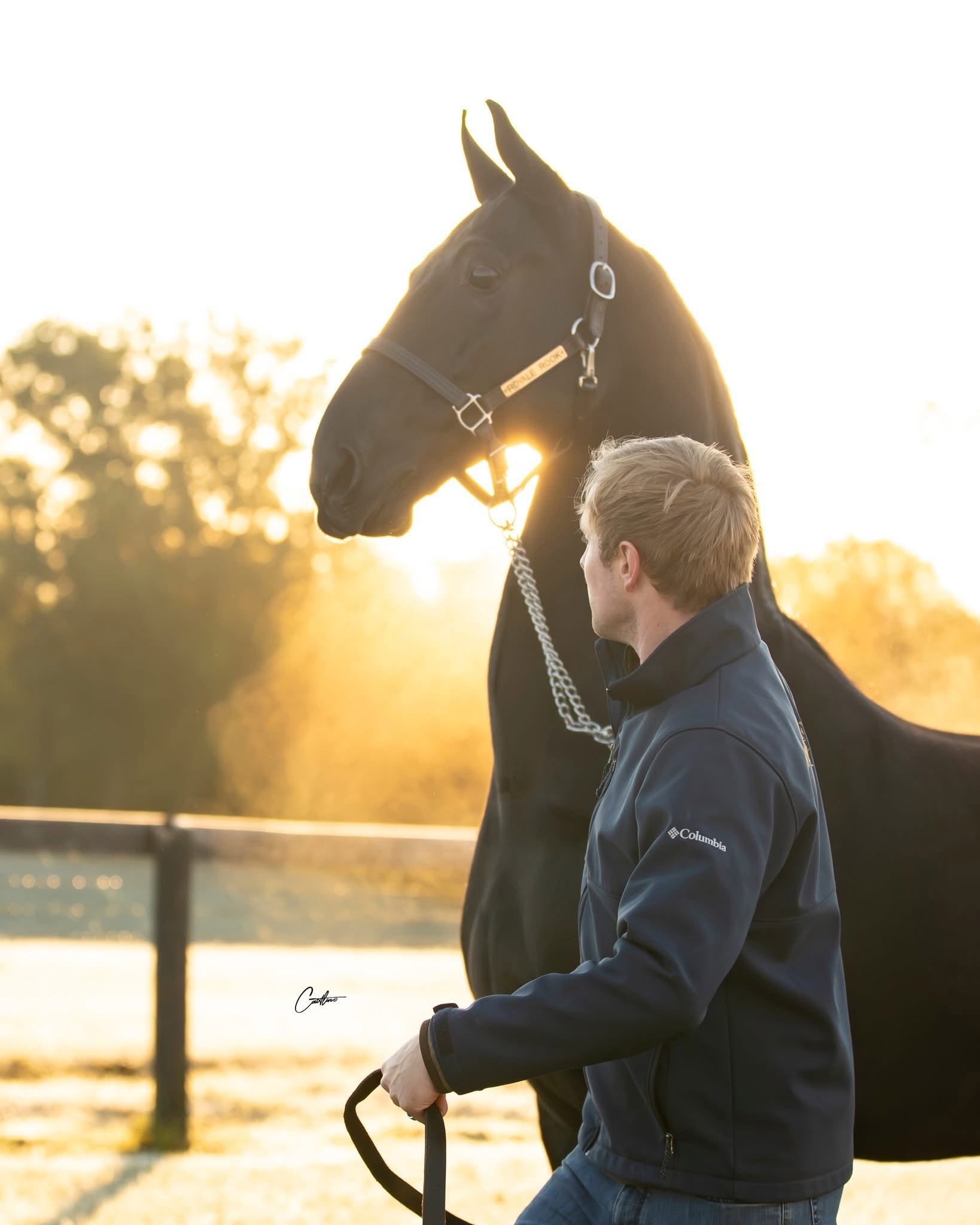 Man and black horse in sunrise light