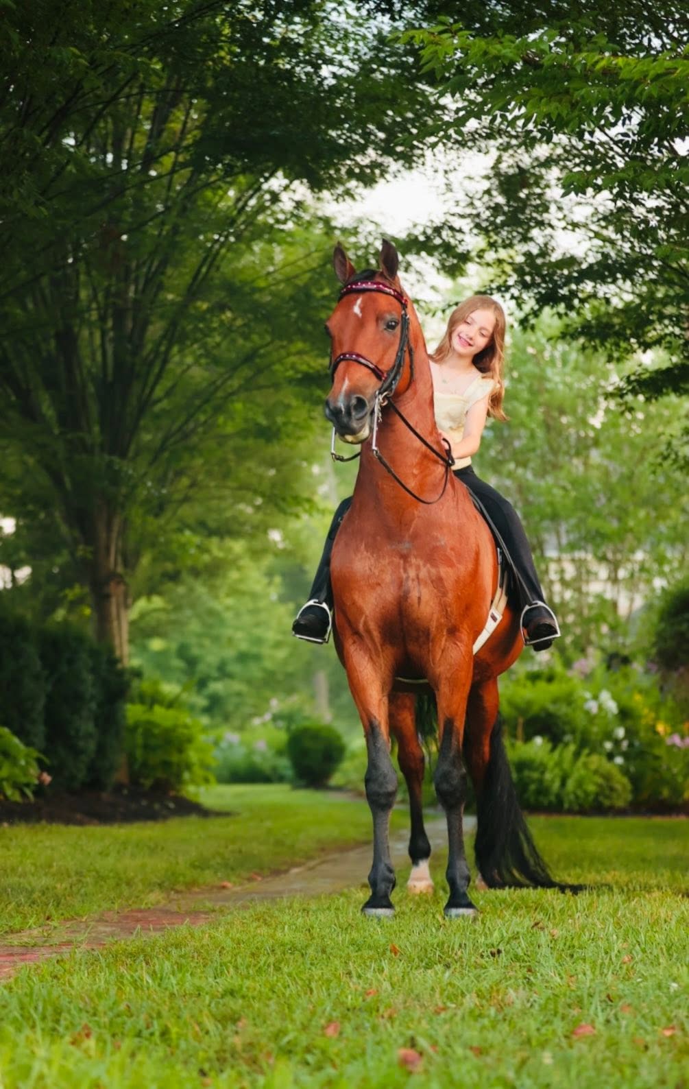 Rider and chestnut horse on a tree-lined path