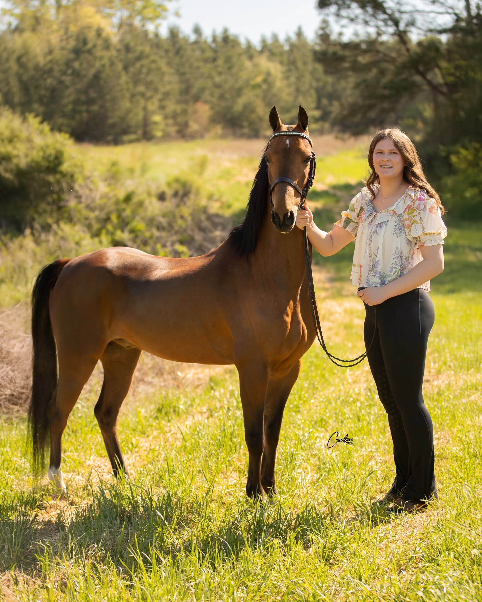 Woman standing with a bay horse in warm light
